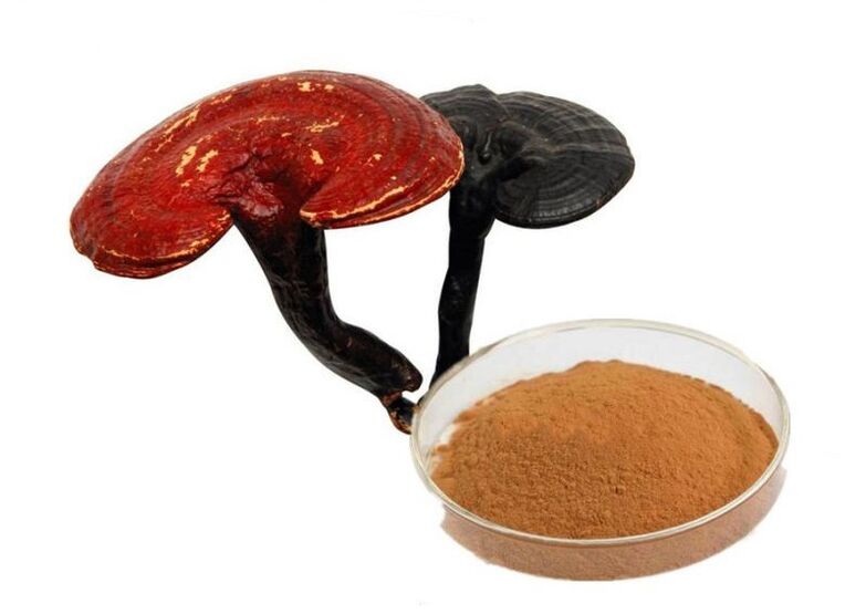 Reishi mushroom extract capsules Prostamin Forte