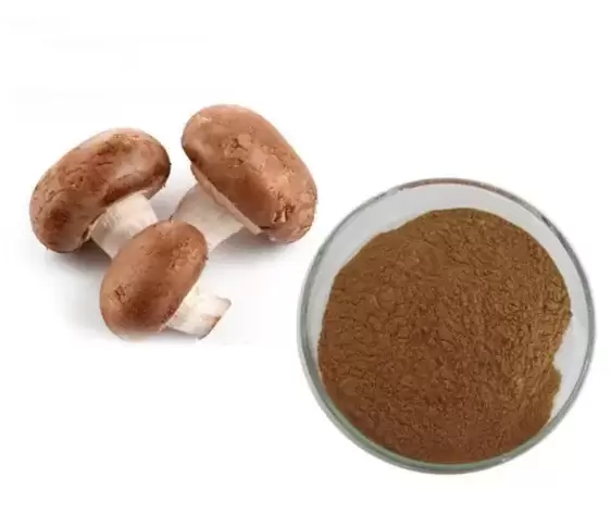 Shiitake Mushroom Powder Capsules Prostamin Forte