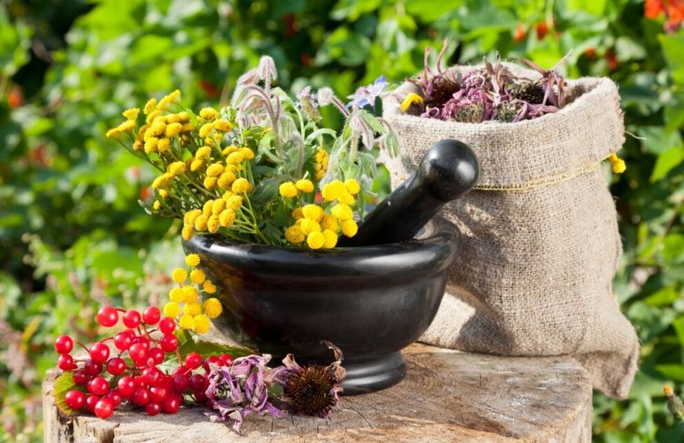 Medicines based on medicinal plants are used in the treatment of prostatitis